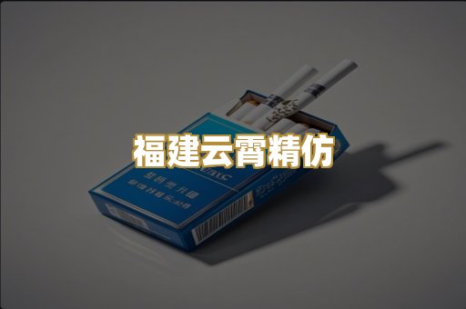 福建云霄精仿